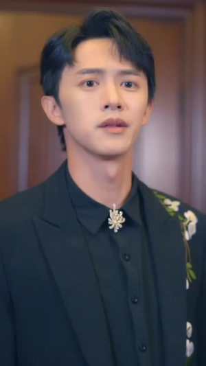 我家女婿有点狂（80集）全剧免费观看