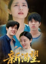 新渴望（30集）热门火爆短剧