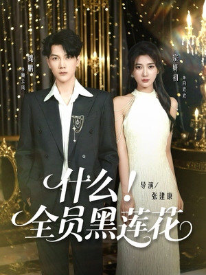 什么全员黑莲花（60集）零花钱看整部剧