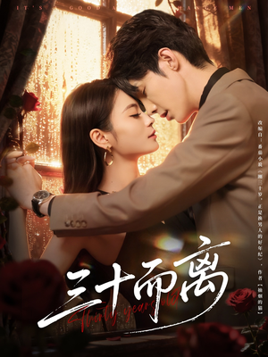 三十而离（81集）剧情简介