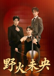 野火未央（40集）短剧全集抢先看