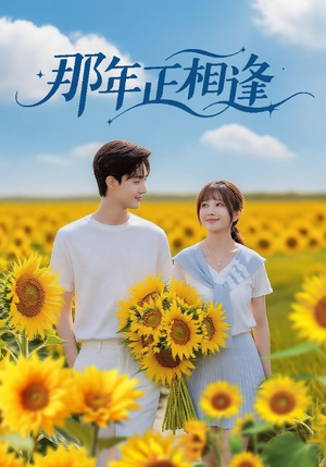 那年正相逢（60集）热播短剧免费看