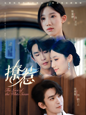 撩惹（80集）短剧上头又好看