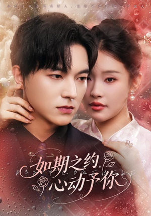如期之约心动予你（82集）看短剧放松一下