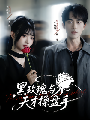 黑玫瑰与天才操盘手（81集）80到100集