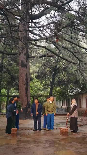 重生60年代激情燃烧的岁月 (89集) 全集完整版