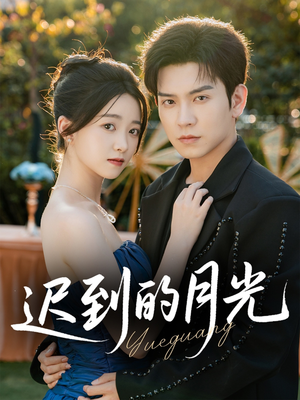 迟到的月光（80集）排行榜前十短剧
