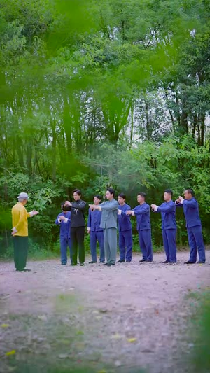 叛师后，大师姐哭了（82集）排行榜前十短剧