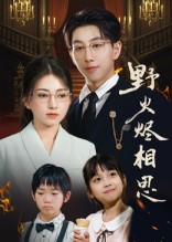 野火烬相思（61集）真的太好看了