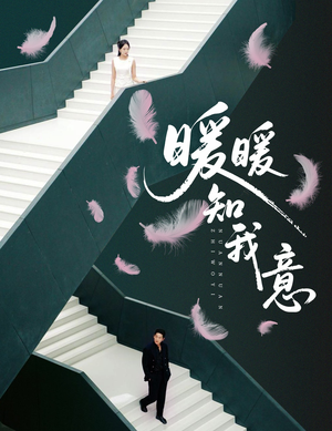 暖暖知我意（61集）好看吗