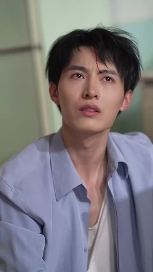 乡野医美 (80集) 短剧更新抢先看