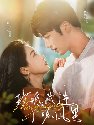 玫瑰藏进晚风里（68集）80到100集