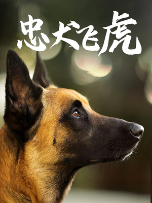 忠犬飞虎（33集）完整版免费观看