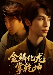 金lin化龙掌乾坤（54集）短剧推荐上热门