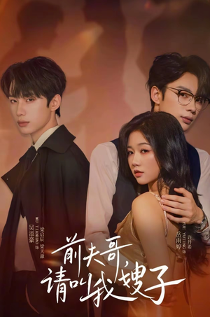 前夫哥请叫我嫂子（40集）百度网盘在线看