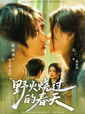 野火烧过的春天（85集）热门短剧推广