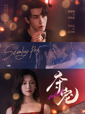 夺宠（88集）小短剧抢先看