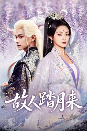故人踏月来（60集）原创精彩短剧