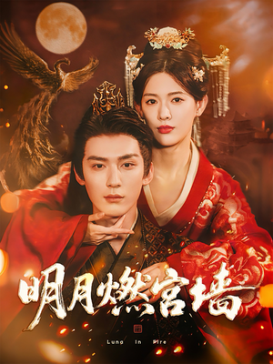 明月燃宫墙（60集）在哪个平台看好