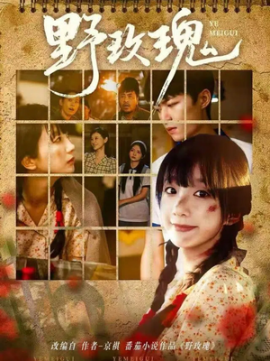 野玫瑰（82集）短剧追不停