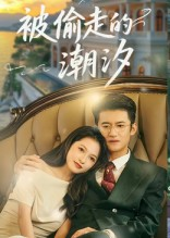 被偷走的潮汐(60集) 被偷走的潮汐(60集)高质量短剧推荐