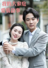 我的大家庭爱情故事（15集）热播短剧重燃