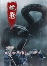 蛇影（25集）好看短剧追不停