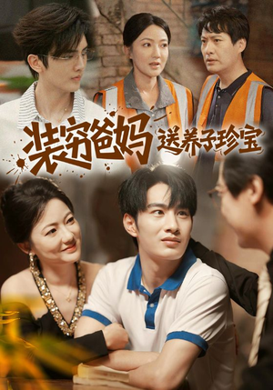 装穷爸妈送养子珍宝（60集）评价怎么样