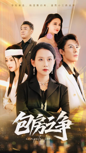 包房之争（50集）在哪里可以看