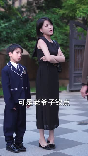 我靠带崽赚翻天（82集）免费观看全集