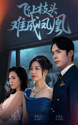 飞上枝头难成凤凰（47集）一口气看完