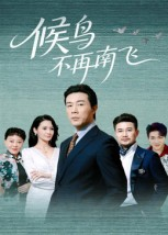 候鸟不再南飞（80集）在线观看全集