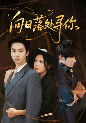 向日落处寻你（70集）好看短剧追不停