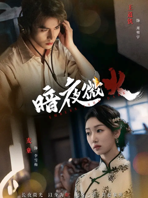 暗夜微火（80集全集免费