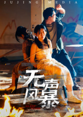 无声风暴（33集）短剧热门推荐