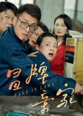 冒牌亲家（30集）短剧看全集