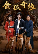 金狐奇缘（42集）短剧排行榜