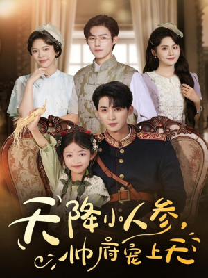 天降小人参，帅府宠上天（83集）精彩的网络短剧