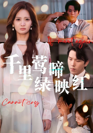 千里莺啼绿映红（63集）精彩短剧推荐