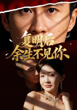 复明后余生不见你（50集）网盘在线观看