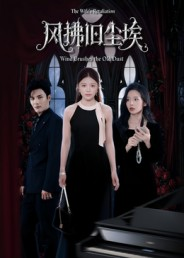 风拂旧尘埃（70集）超火热门短剧