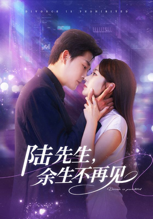 陆先生，余生不再见（88集）免费观看就是爽