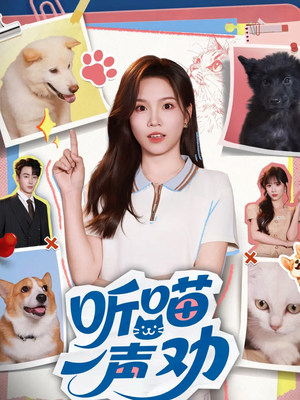 听喵一声劝（60集）让你一口气看完