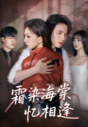 霜染海棠忆相逢（72集）爆款热门短剧