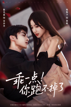 乖一点！你跑不掉了（80集）剧情简介