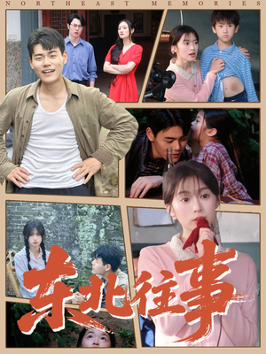东北往事（60集 ）全集下载