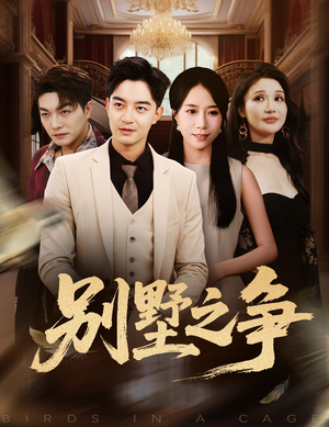 别墅之争（59集）精彩短剧合集