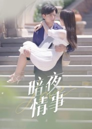 暗夜情事（100集）太好看了短剧