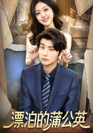 漂泊的蒲公英(60集) 漂泊的蒲公英(60集)热播短剧排行榜