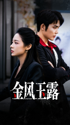 金风玉露（80集）剧情简介